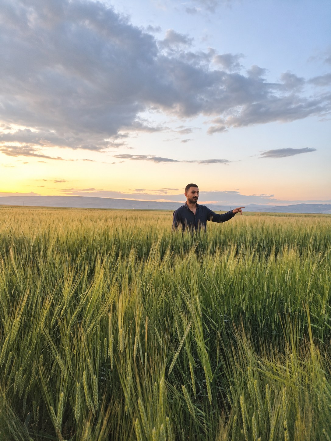 Wheat field observation